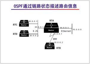网络工程师基础培训 OSPF协议详解与配置实践
